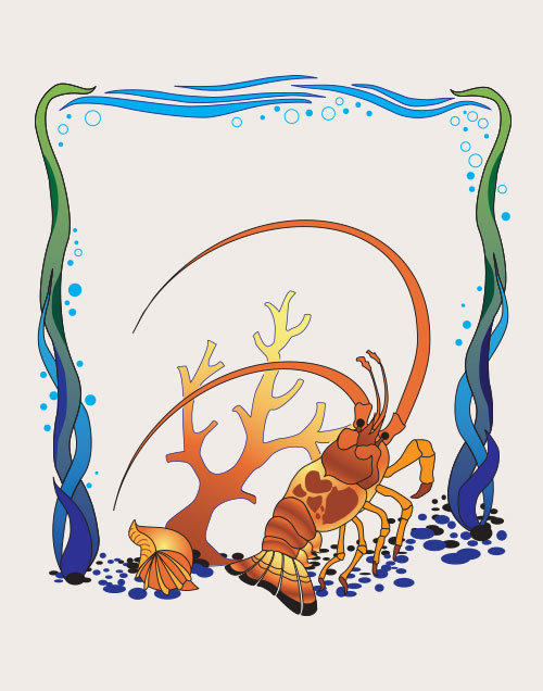 Spiny Caribbeas=n lobster illustration